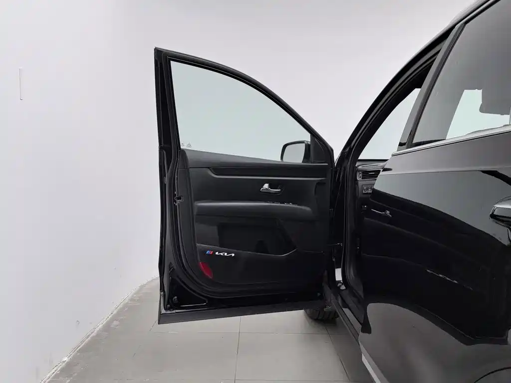 Kia KX7 2019 2017 2.0T Automatic 4WD DLX 7-Seater