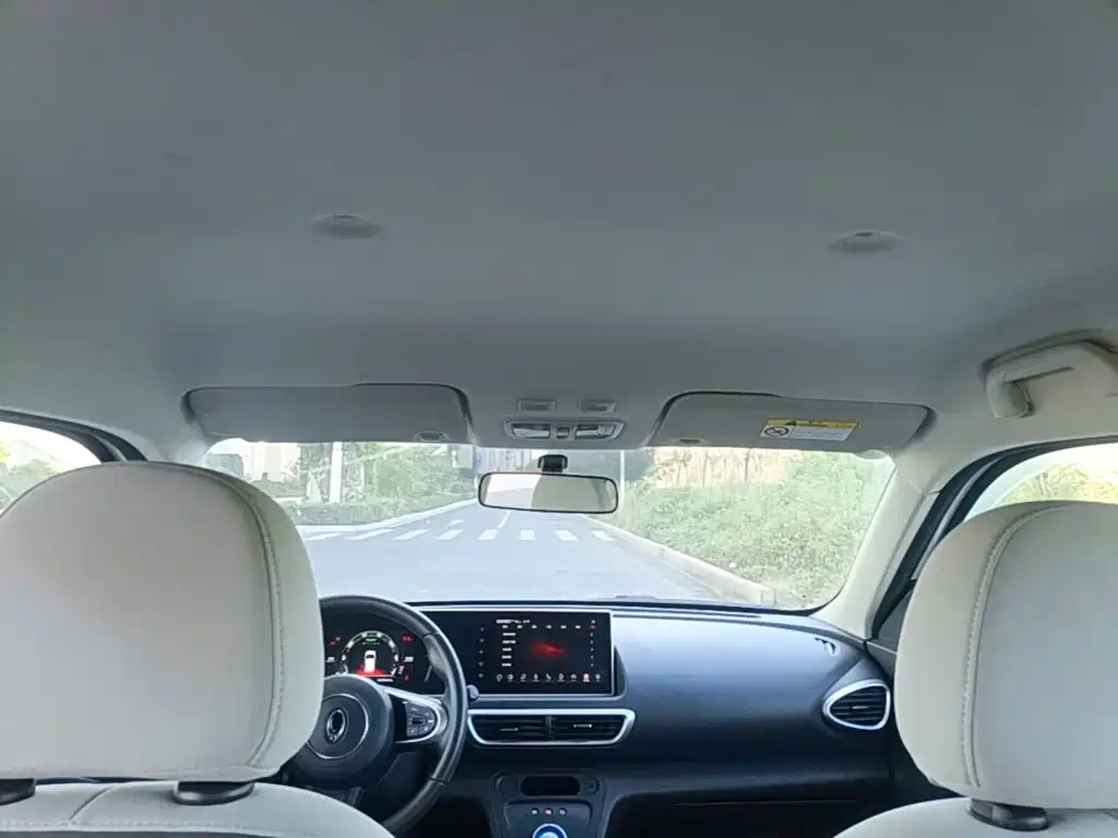 Ora White Cat 2020 2020 305km Luxury