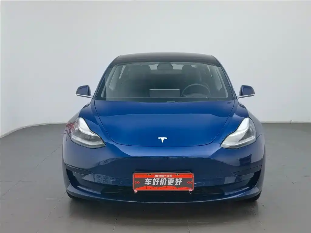 TESLA MODEL 3 (IMPORTED)