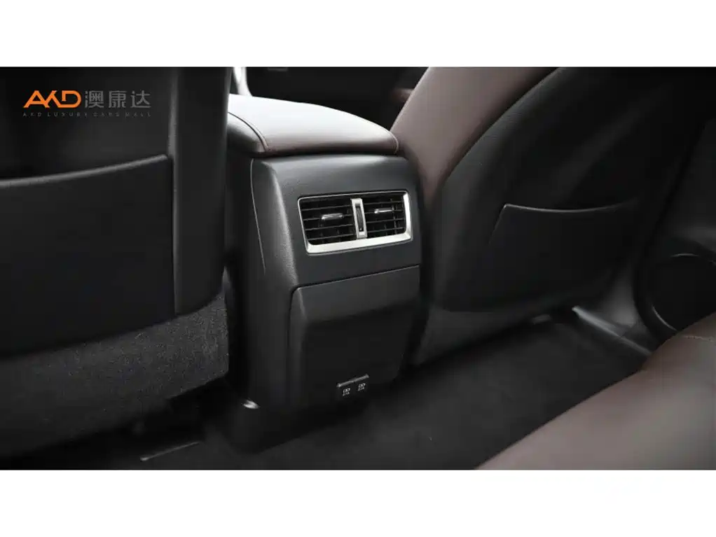 Lexus RX 2020 300 4WD Elegance Edition China VI фото 9