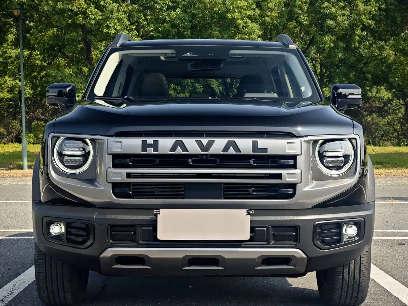 Haval Dargo 2024 2024 1.5T DCT Border Collie Edition