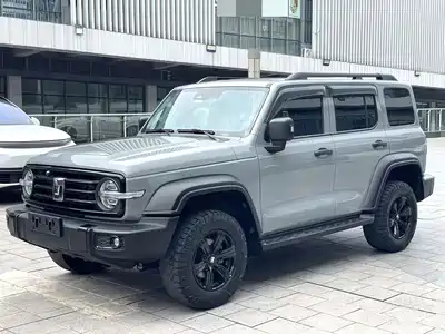 Tank 300