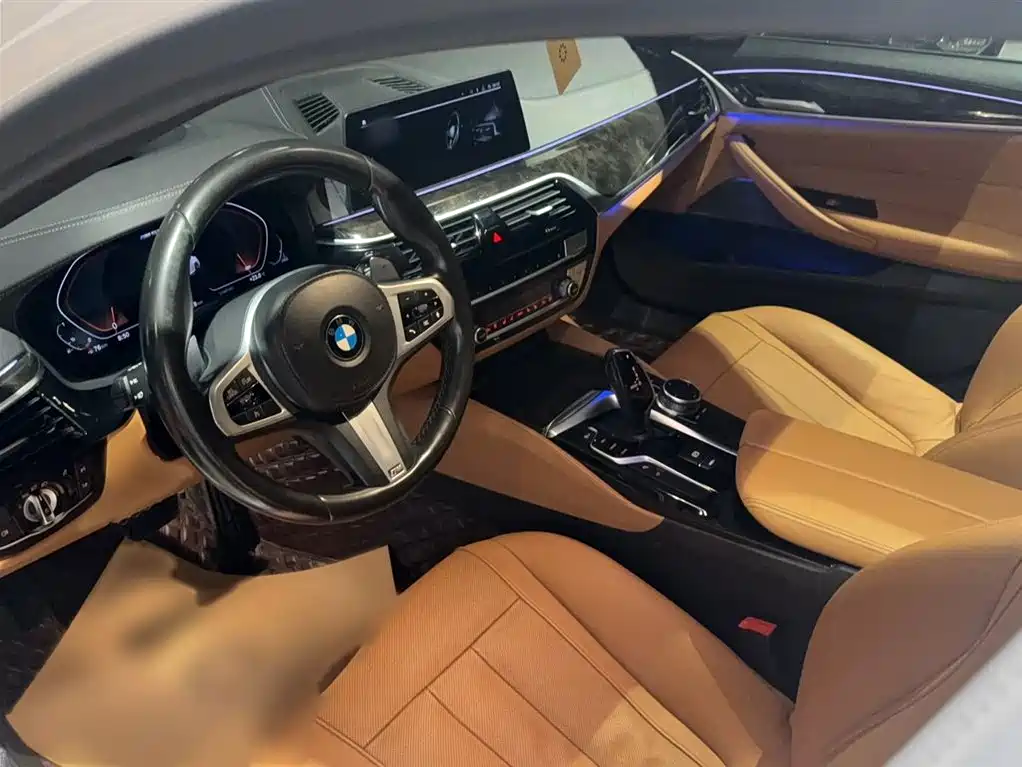 BMW 5 Series 2020 530Li Exclusive M Sport Package фото 12