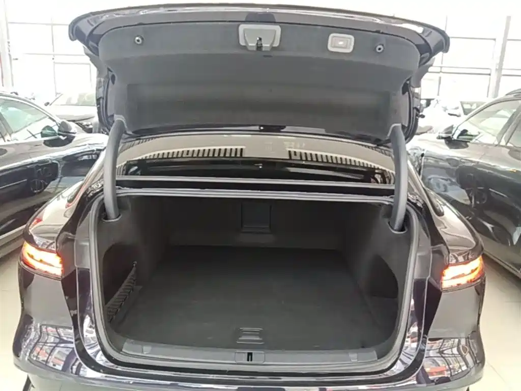 Voyah Auto VOYAH Zhuiguang 2024 PHEV AWD Ultra Long Range Flagship фото 18