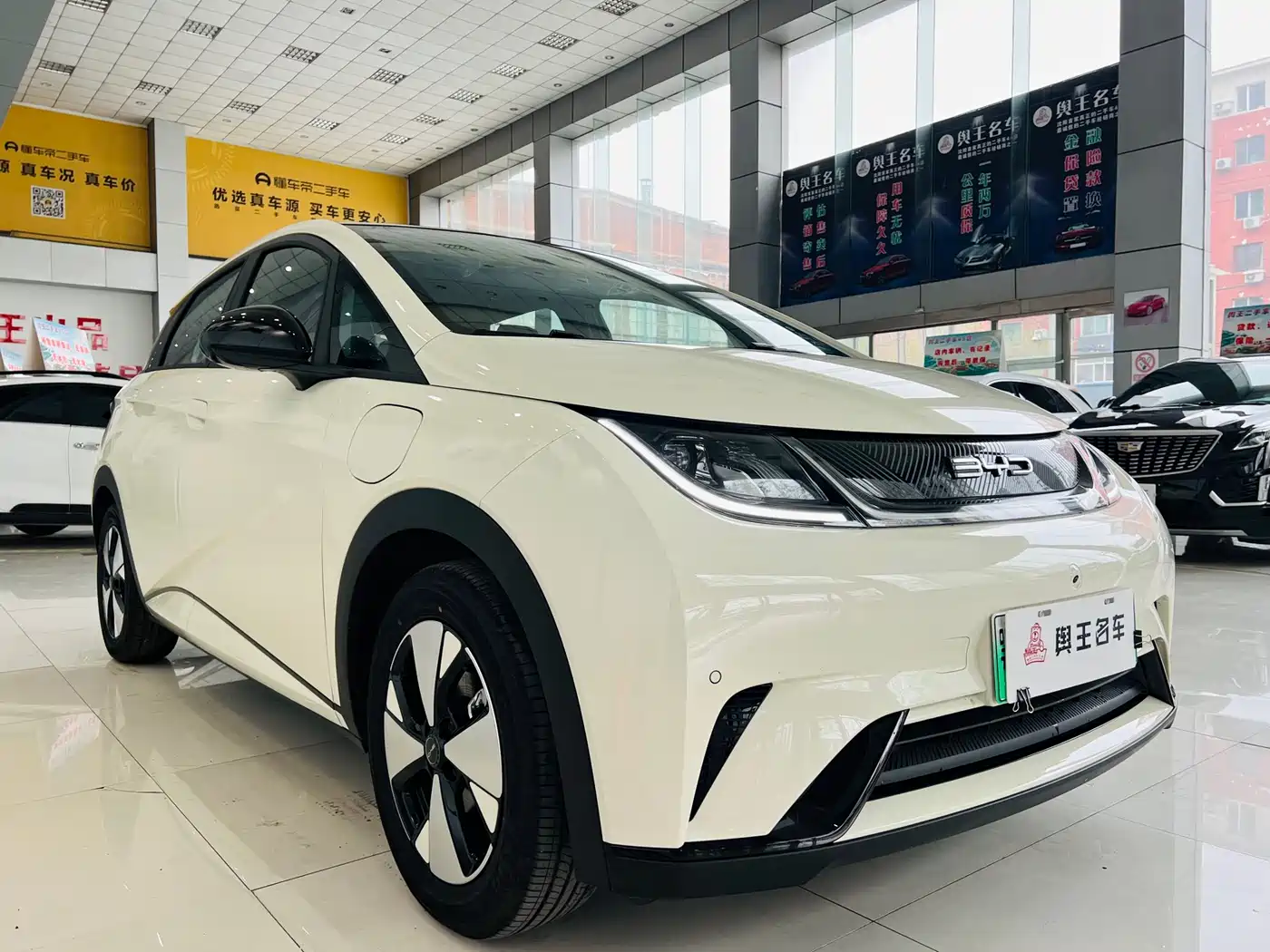 BYD Dolphin 2023 420km Fashion Edition фото 7