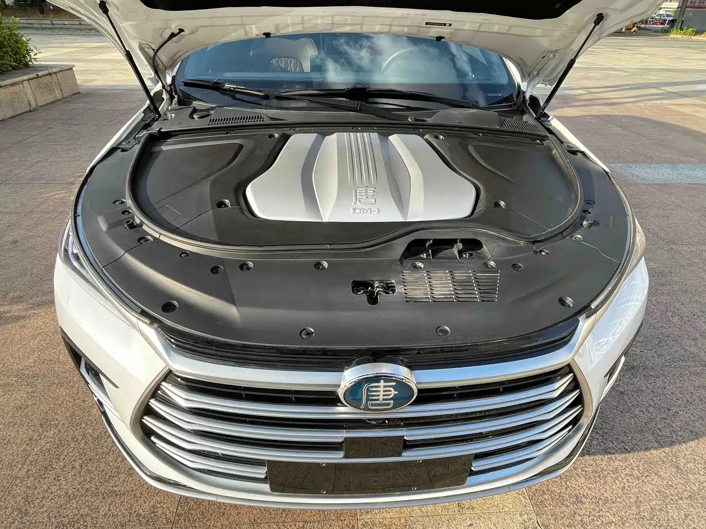 BYD Tang New Energy 2021 DM-i 112KM Honor фото 17