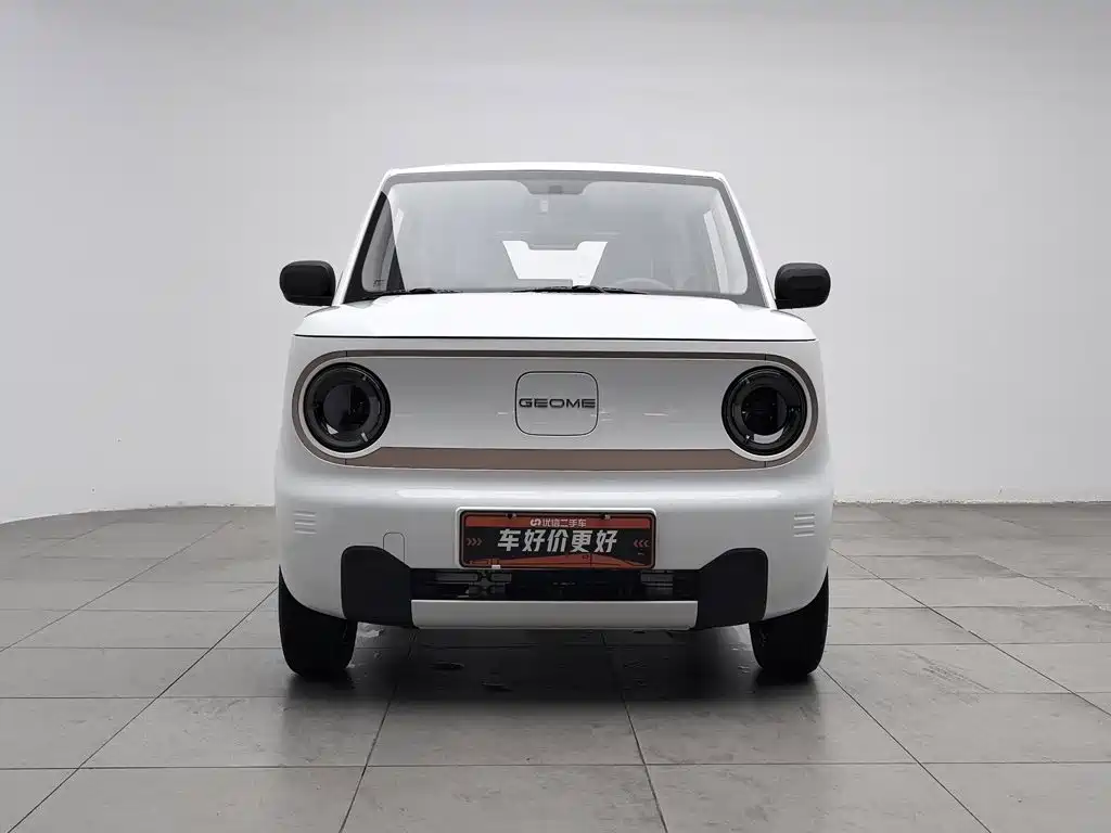 Geely Galaxy Panda 2026 2024 Panda mini 200km Endurance Bear