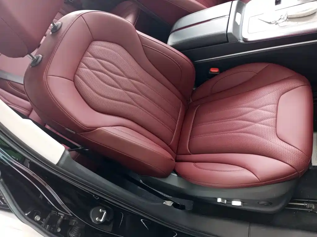 Hongqi HS5 2025 2025 2.0T 2WD Qixiang Pro