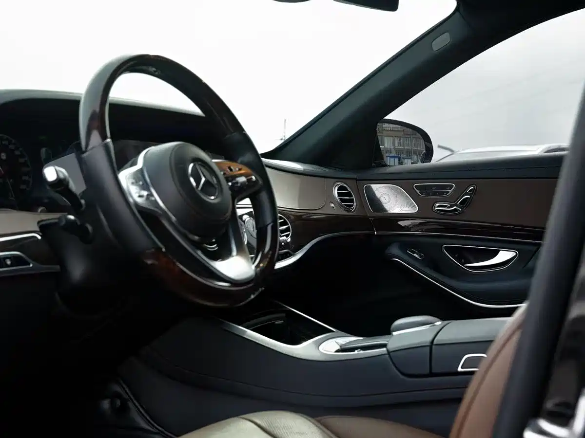 Mercedes-Benz S-Class 2020 S 350 L Premium Edition Collector's Version фото 16