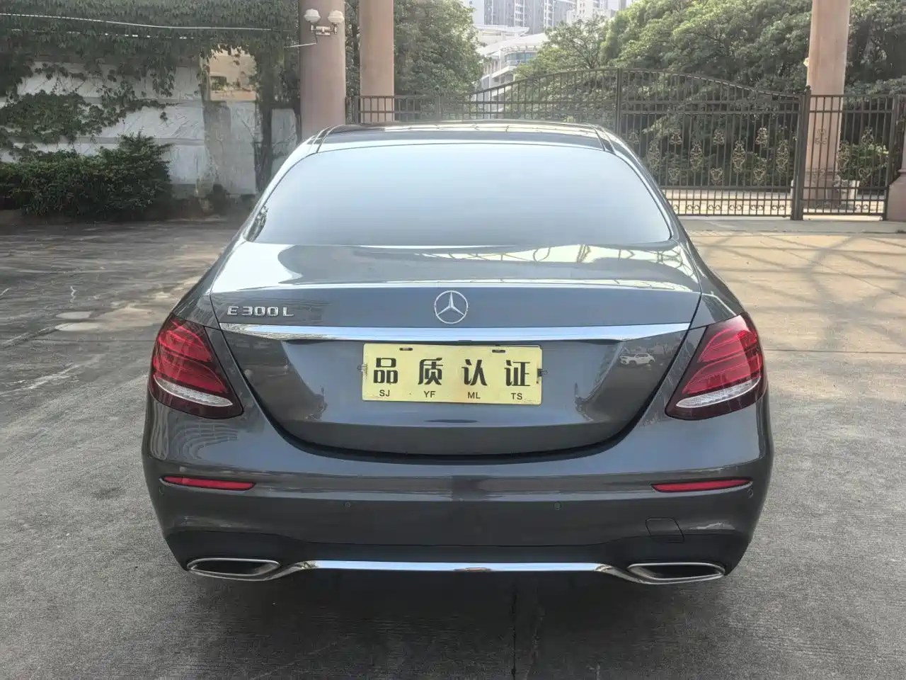 Mercedes-Benz E-Class 2020 E 300 L Sport Luxury Model фото 8