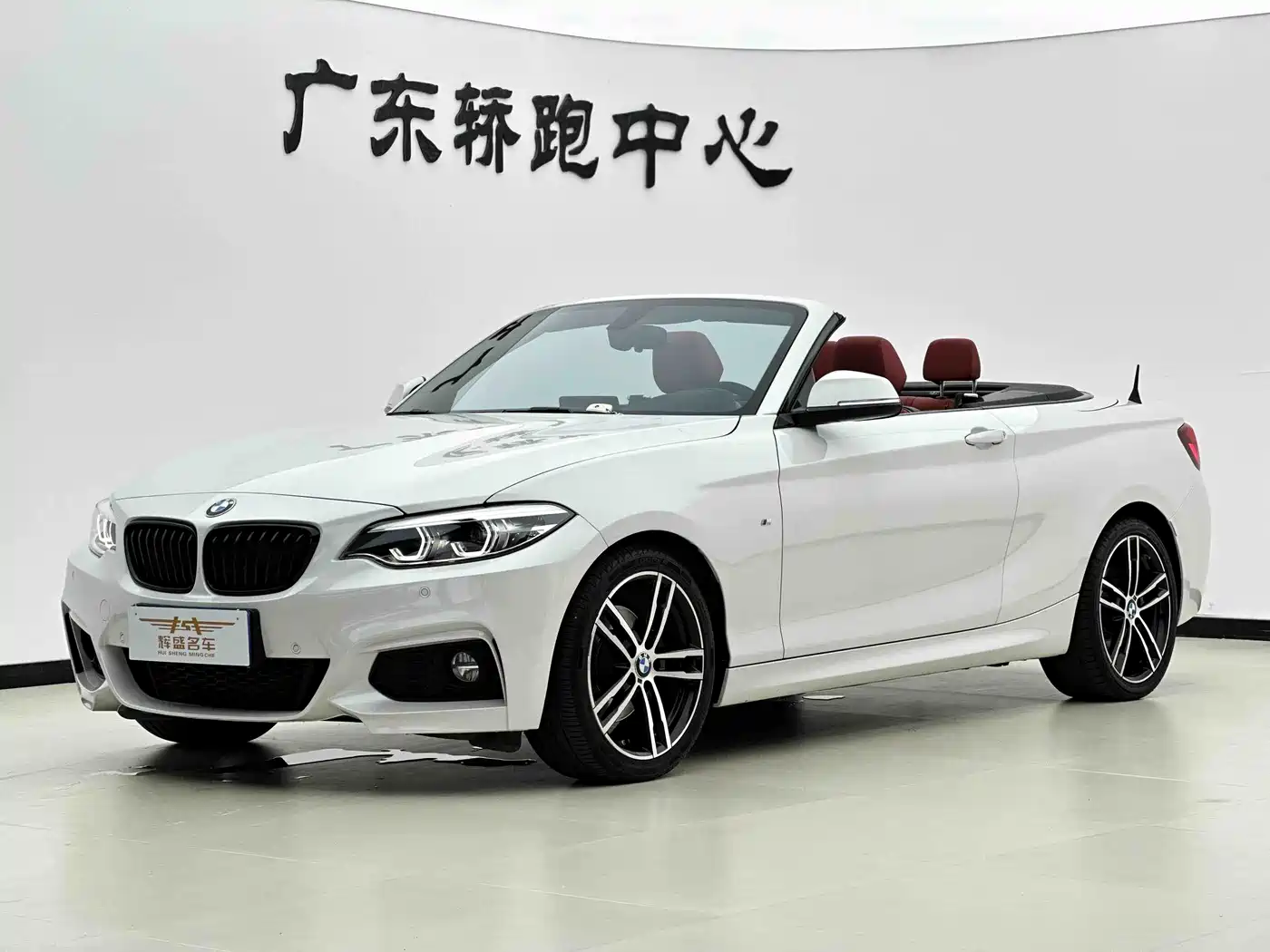 BMW 2 Series (Import) 2019 225i Convertible Coupe Exclusive M Sport Package