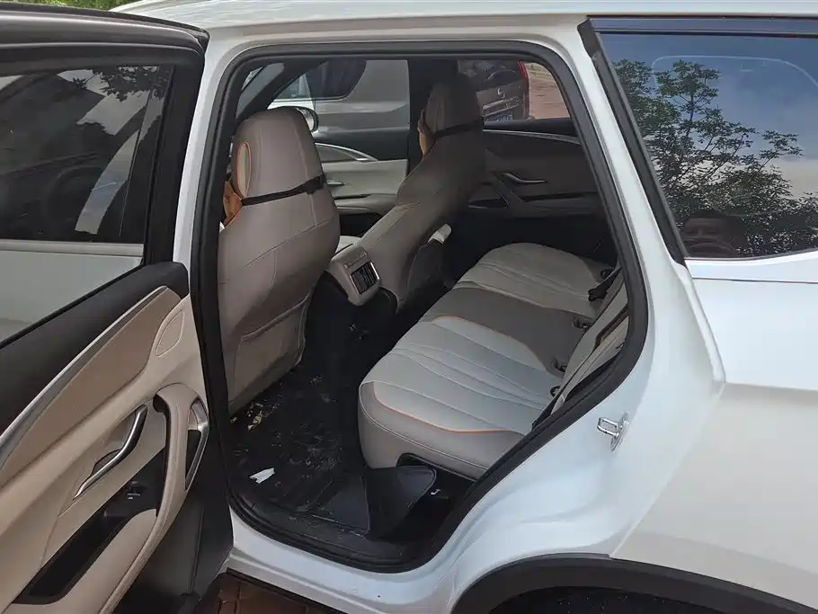 BYD Song Pro New Energy 2023 Champion Edition DM-i 110KM Excellence фото 11