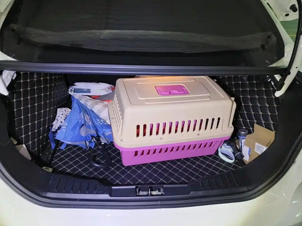 Photo 5 - Ford Focus