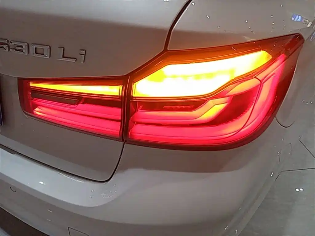 BMW 5 Series 2018 Facelift 530Li Leading Luxury Package фото 8
