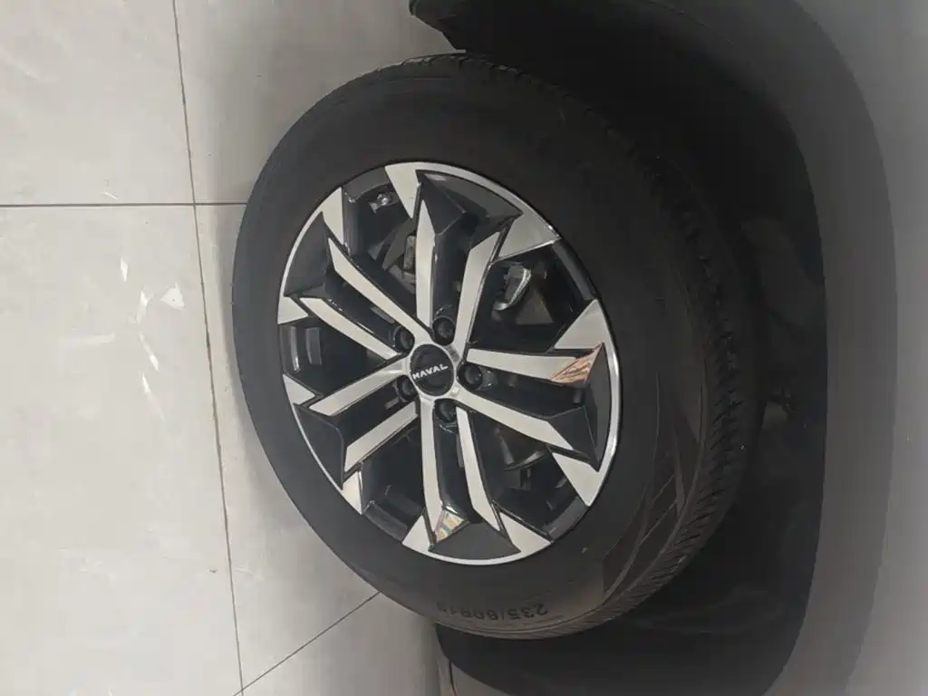 Haval Big Dog 2025 2024 1.5T DCT Border Collie Edition