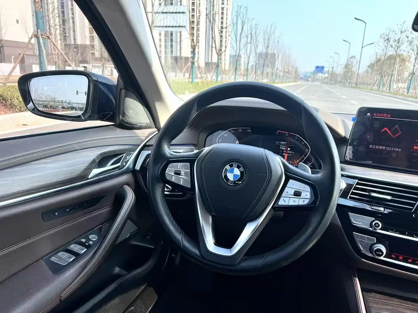 BMW 5 Series 2021 530Li Premium Luxury Package фото 12