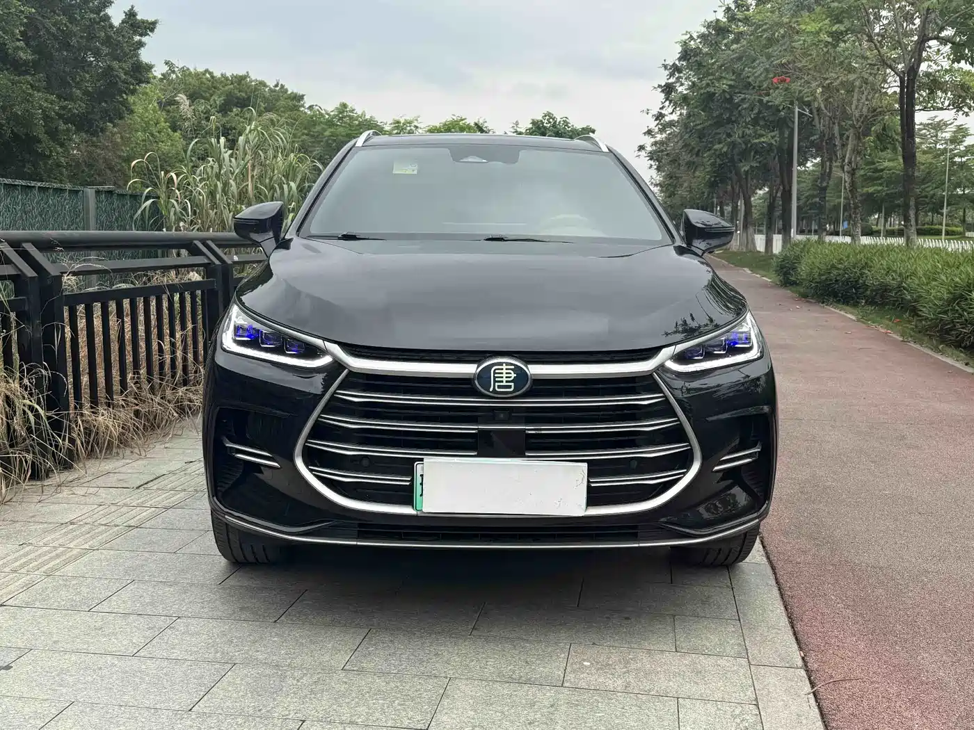 BYD Tang New Energy 2021 DM-i 112KM Honor фото 2