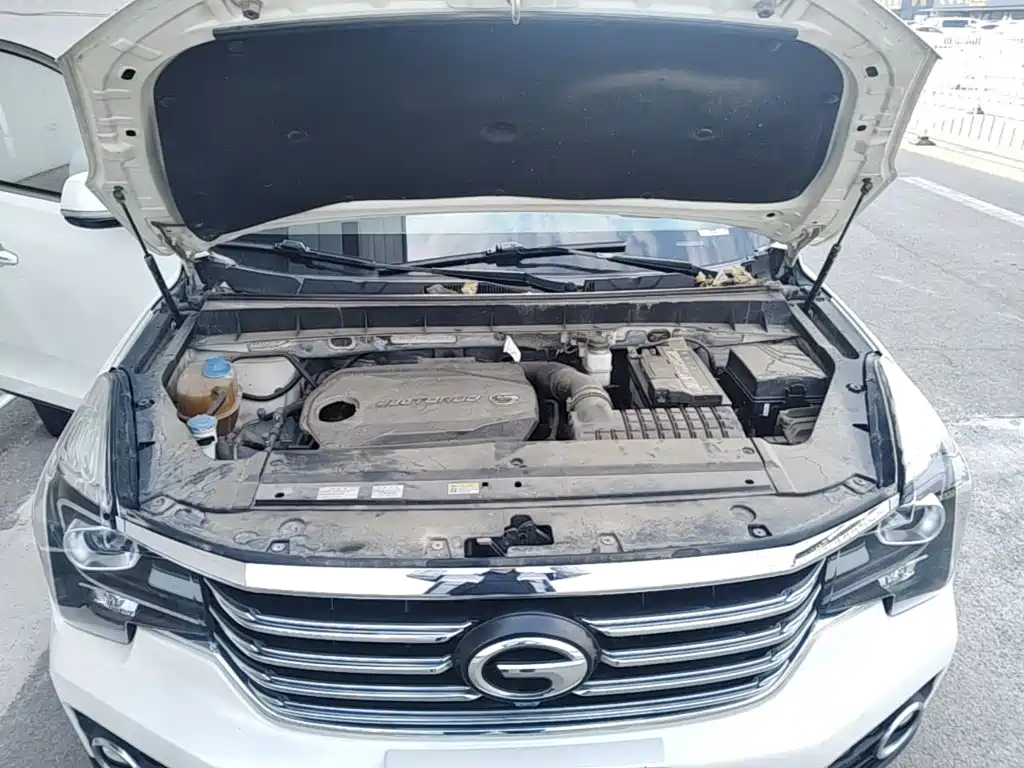 Фото 20 - GAC Trumpchi Trumpchi GS7