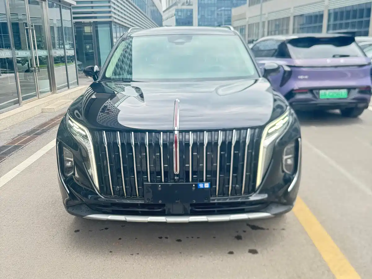 Hongqi HS7 PHEV 2024 2.0T PHEV 4WD Flagship Edition 6-seater фото 2