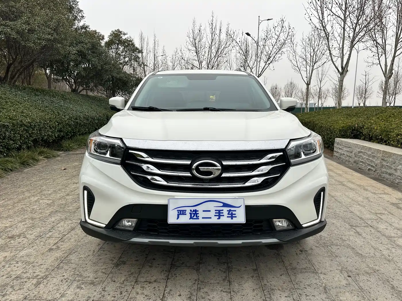 GAC Trumpchi Trumpchi GS4 2018 235T Automatic 2WD Elite фото 2