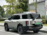Photo 6 - Fang Cheng Bao Leopard 8