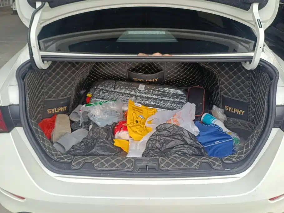 Nissan SYLPHY, миниатюра 4