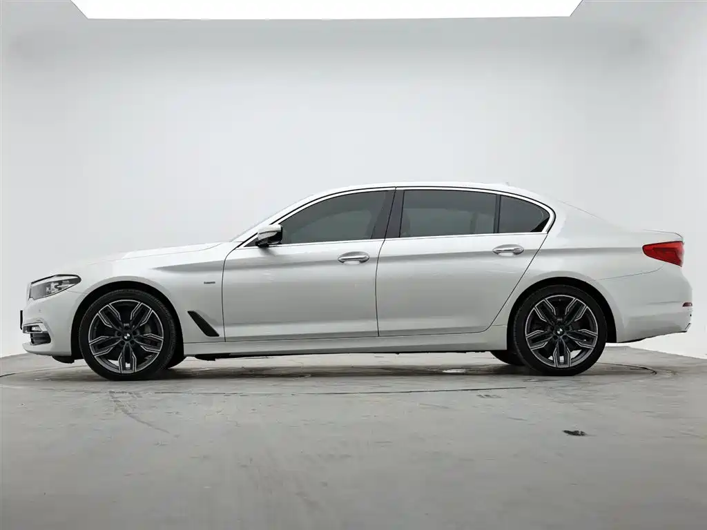 BMW 5 Series 2018 530Li Leading Luxury Package фото 6