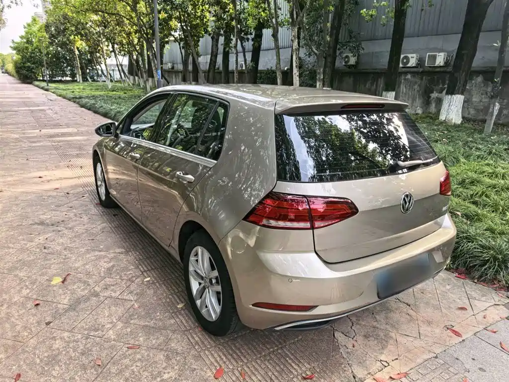 Volkswagen Golf 2018 1.6L Automatic Comfort фото 7