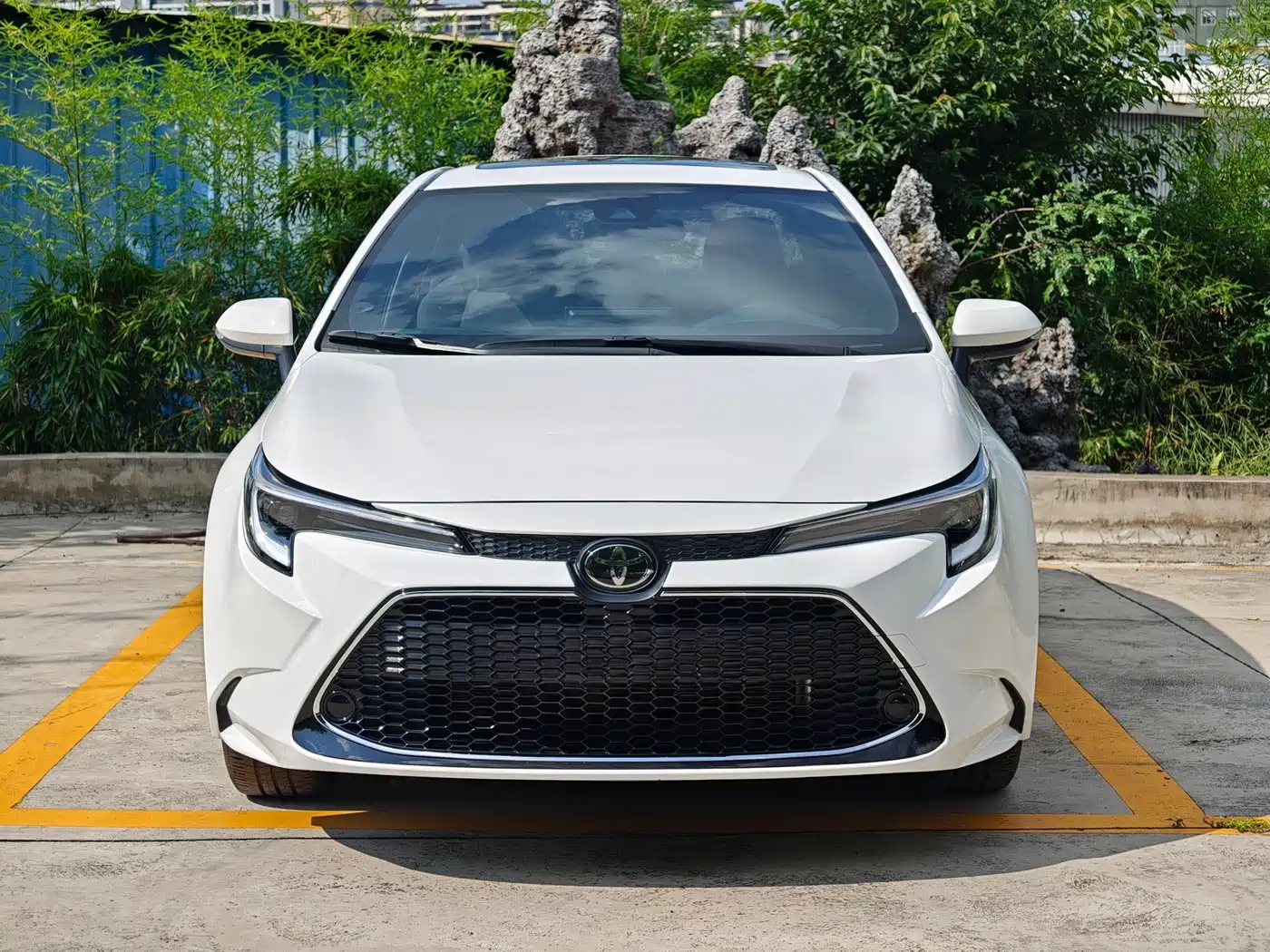 Toyota Levin 2025 2024 185T CVT Luxury Edition