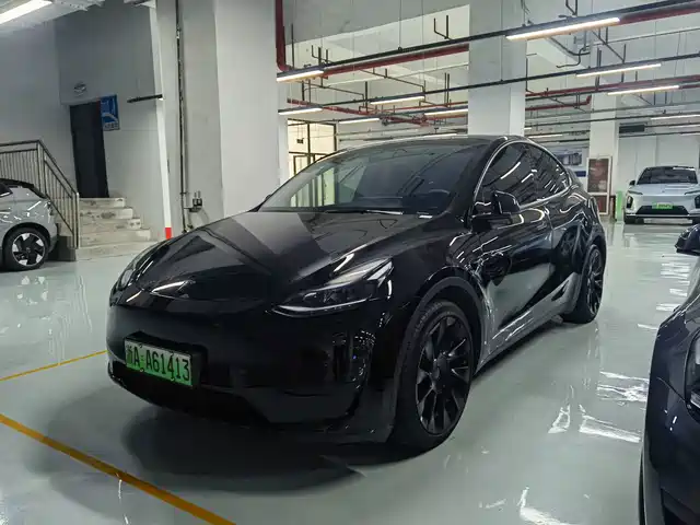 Tesla Model Y Задний привод