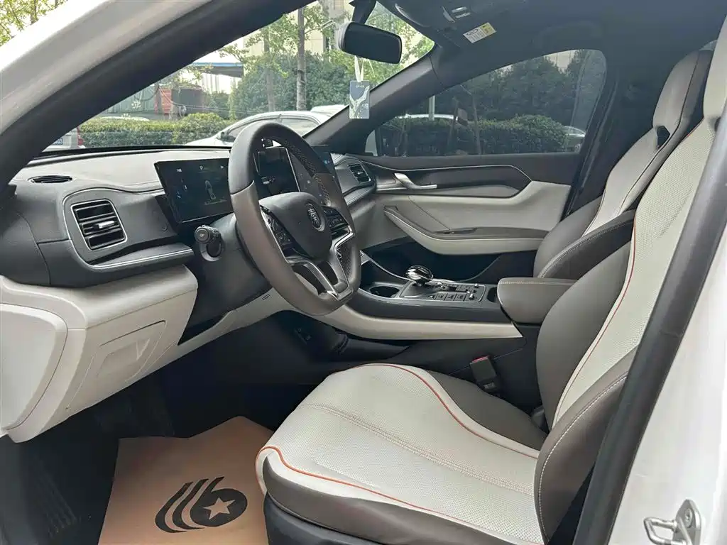 BYD Qin PLUS 2023 Champion Edition EV 510KM Leading Type фото 4