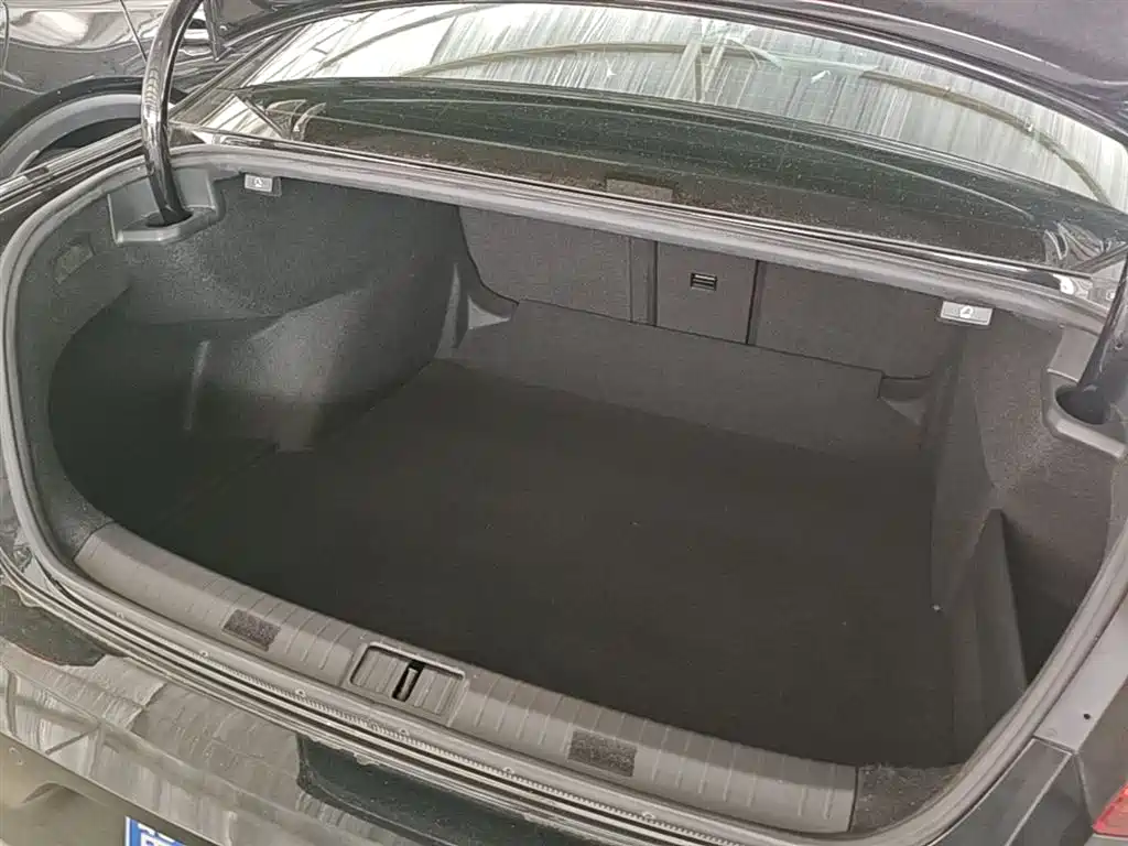 Volkswagen Magotan 2020 330TSI DSG Luxury фото 19
