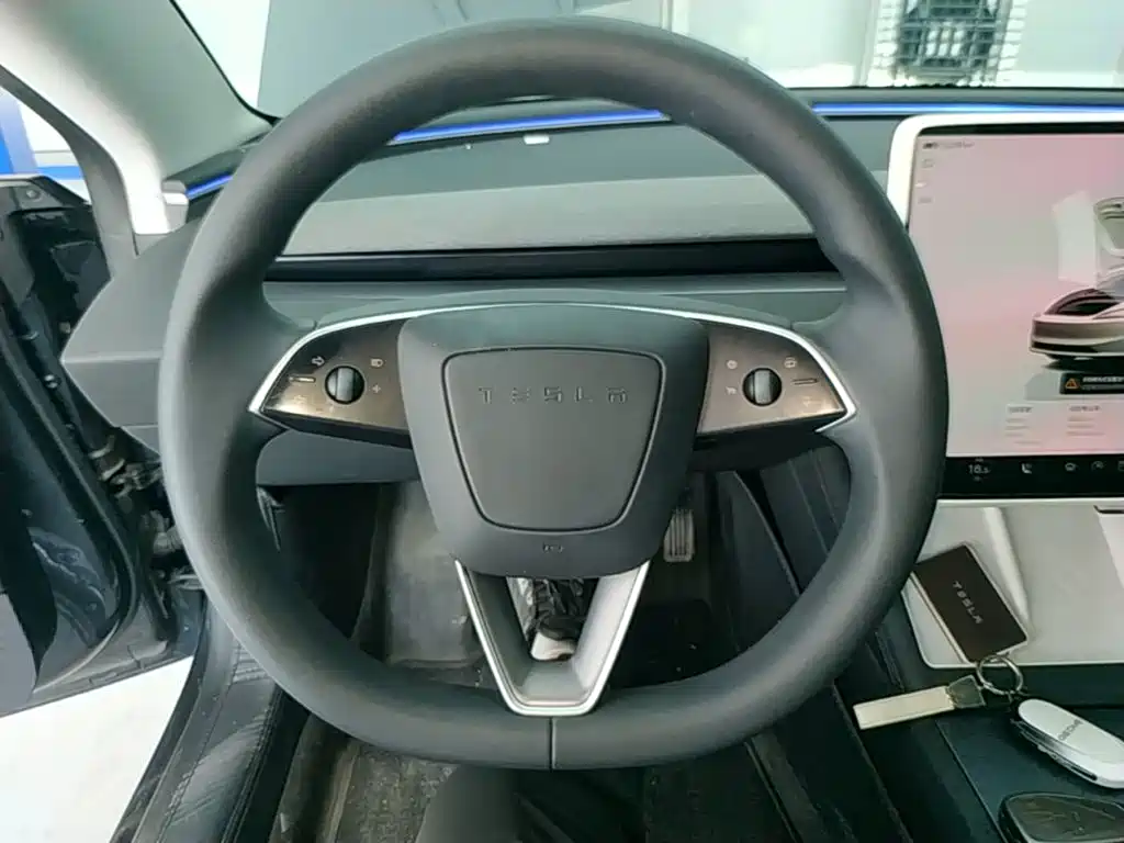 Tesla Model 3 2025 2025 Model Rear-Wheel Drive Edition