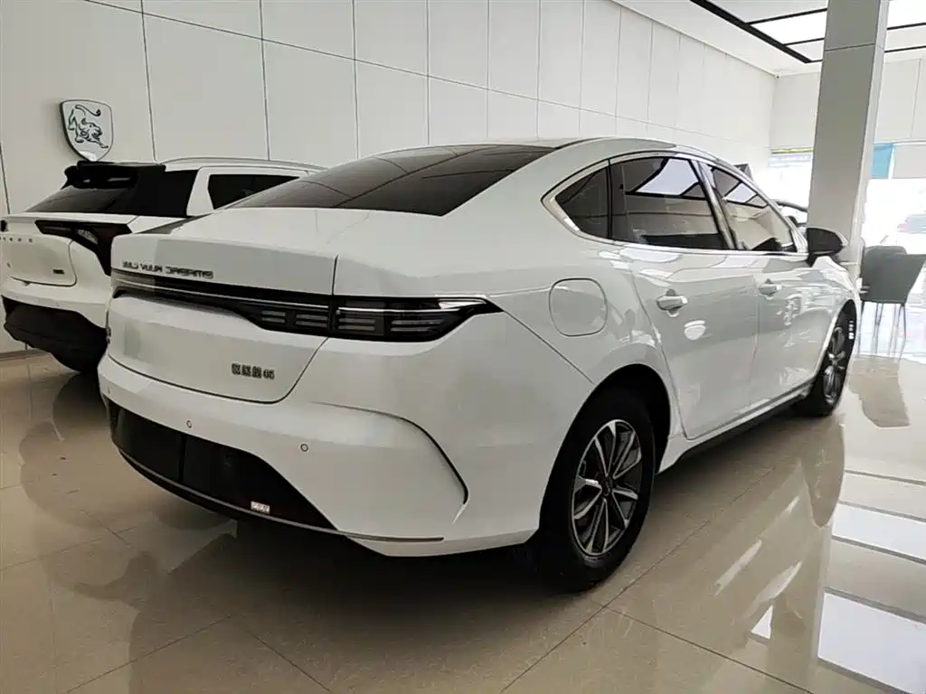 BYD Destroyer 05 2024 Glory Edition DM-i 55KM Luxury фото 7