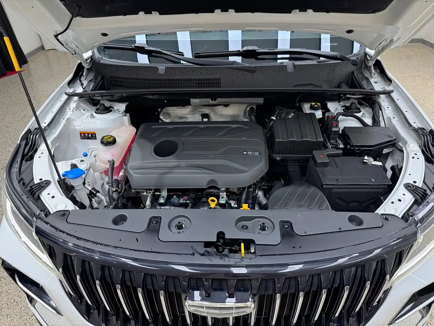 Geely Emgrand X6 2024 2021 Model PRO 1.4T Automatic Premium