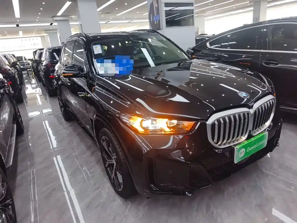 BMW X5 2023 xDrive 30Li Premium M Sport Black Night Package фото 4