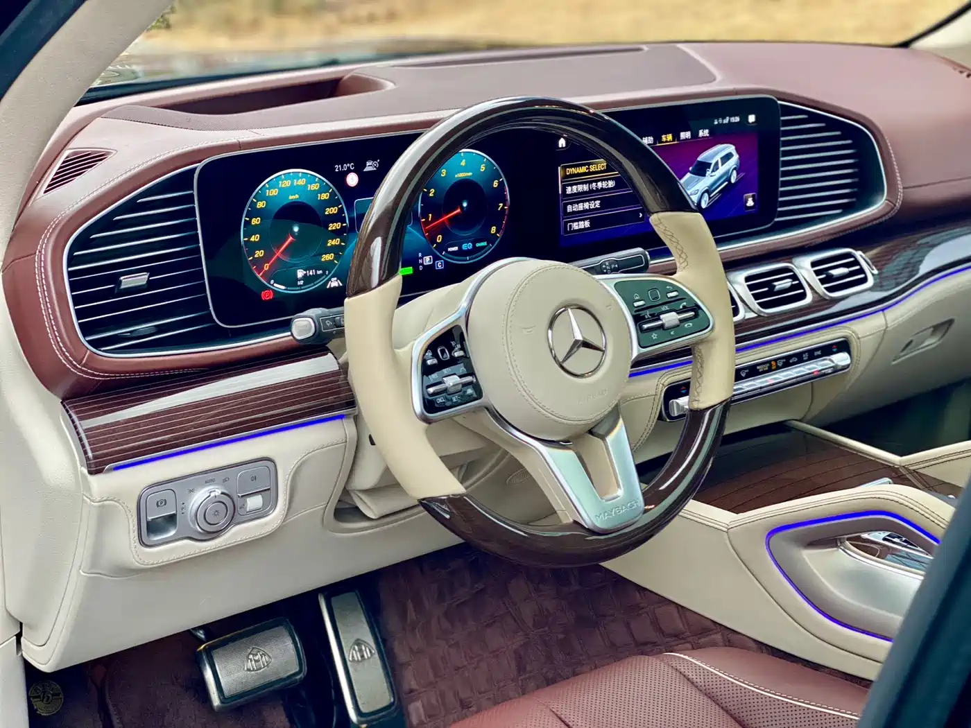 Mercedes-Benz Maybach GLS 2021 GLS 480 4MATIC фото 15