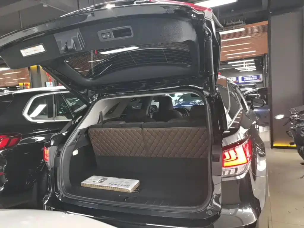Фото 19 - Lexus RX