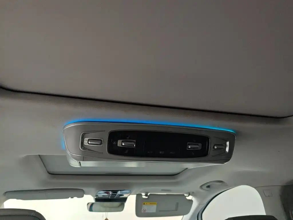 Roewe iMAX8 2020 2021 400TGI Supreme Series Honor