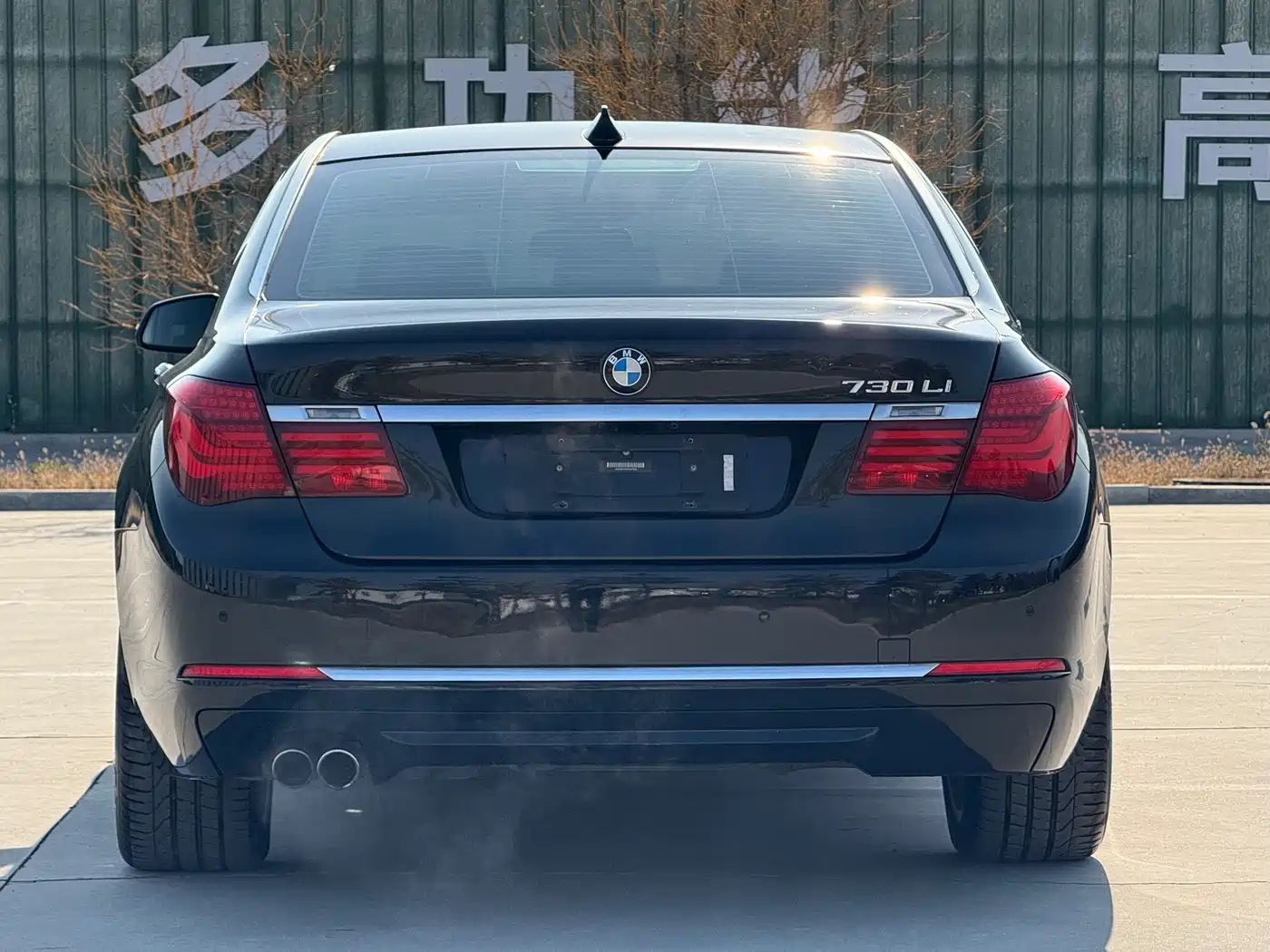 BMW 7 Series 2014 730Li Premium фото 6