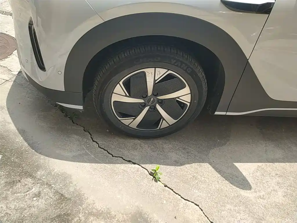 BYD Hai Shi 05 EV 2025 520KM Smart Navigation Edition фото 23