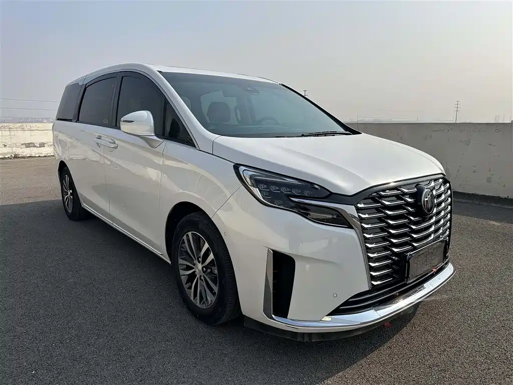 Buick GL8 2023 ES Landmaster Exclusive фото 3