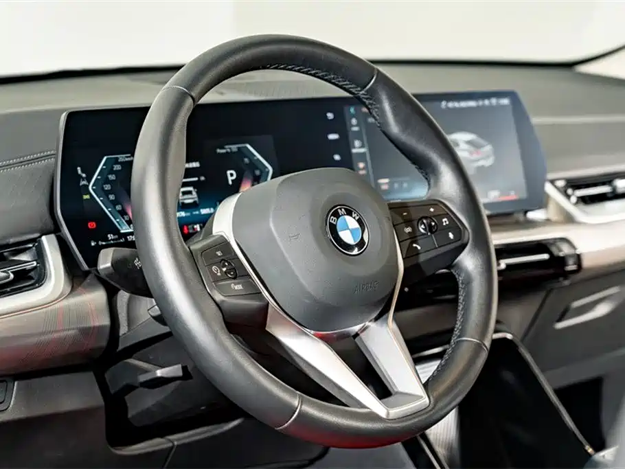 BMW X2 (Import) 2024 sDrive25i M Sport Package фото 11