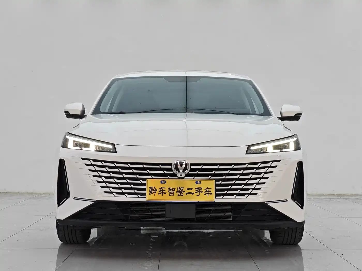 Changan Yida 2024 2023 Blue Whale NE 1.5T GDI DCT Exclusive