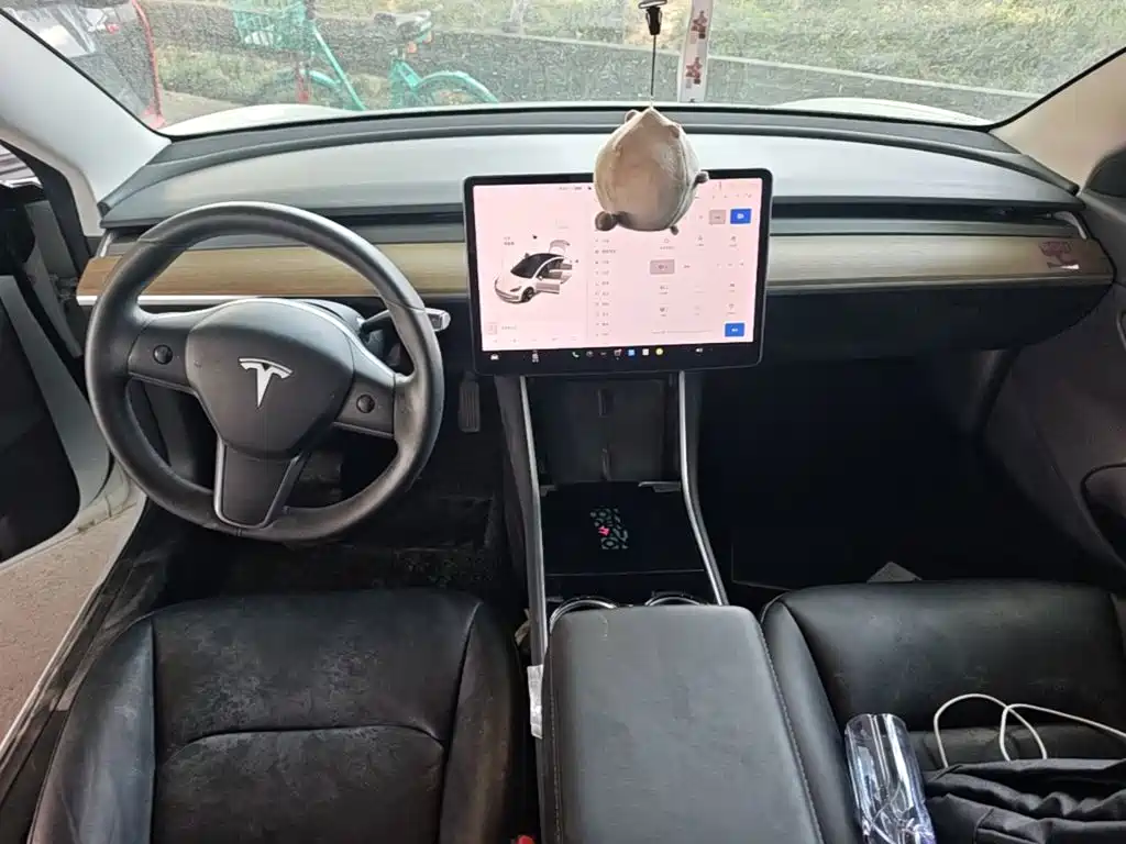 Tesla Model 3 (Import) 2019 2019 Standard Range RWD Upgraded Edition