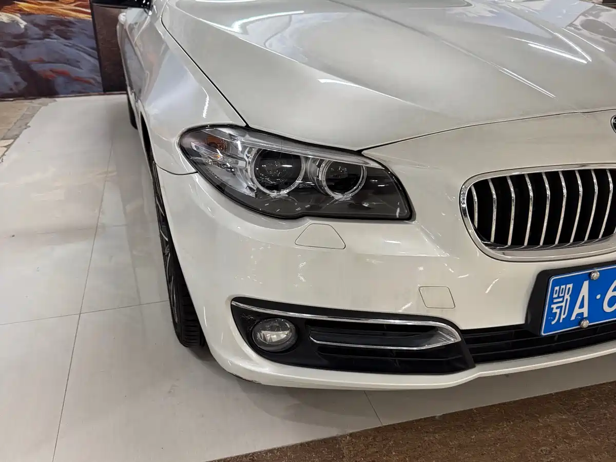 BMW 5 Series 2014 525Li Luxury Design Package фото 3