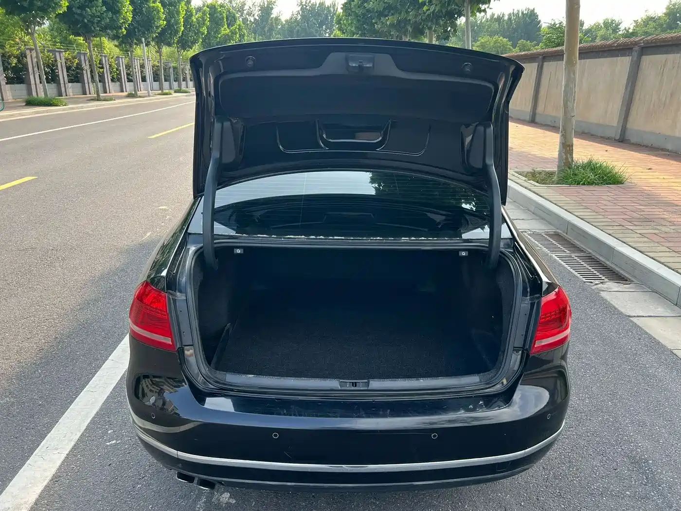 Volkswagen Passat 2011 1.8TSI DSG Honor Edition фото 15
