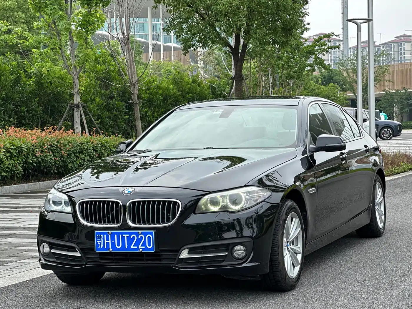 BMW 5 Series 2014 520Li Elegance