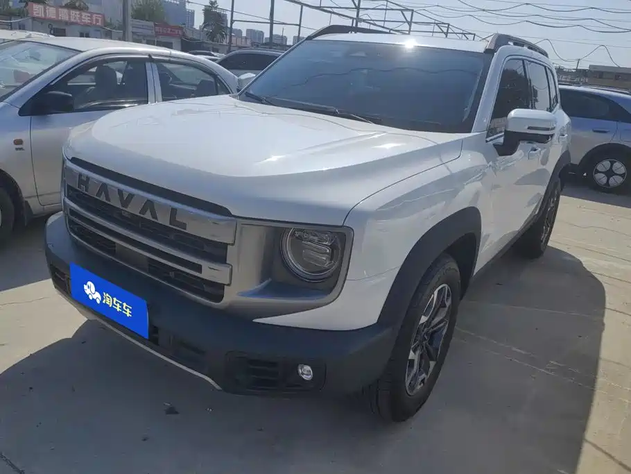 Haval Dargo 2025 2024 2.0T DCT Chinese Rural Dog Edition