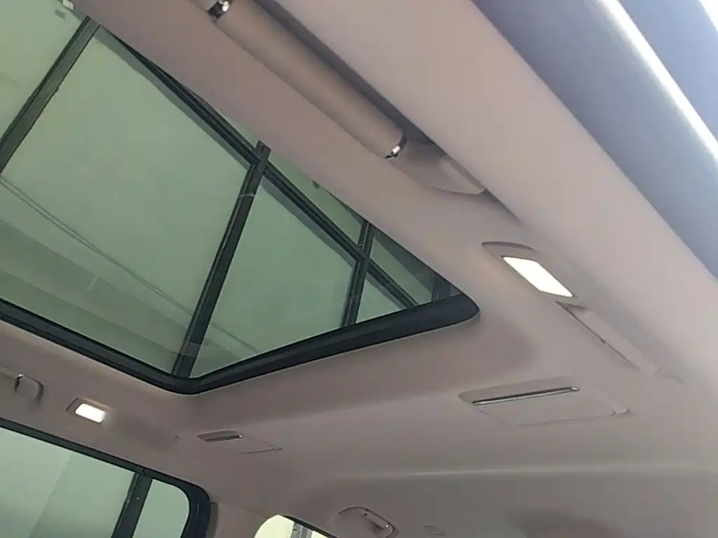 Hongqi HQ9 2023 2023 2.0T Smart Connect Flag Smooth Edition